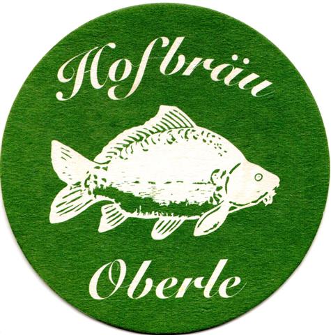 erlangen er-by hofbr�u oberle rund 1a (215-mitte fisch-gr�n)